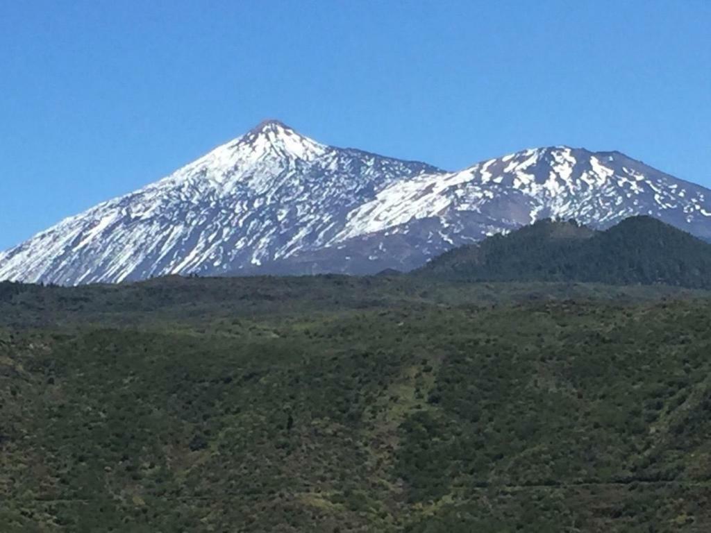 Laika Los Cristianos (Tenerife)