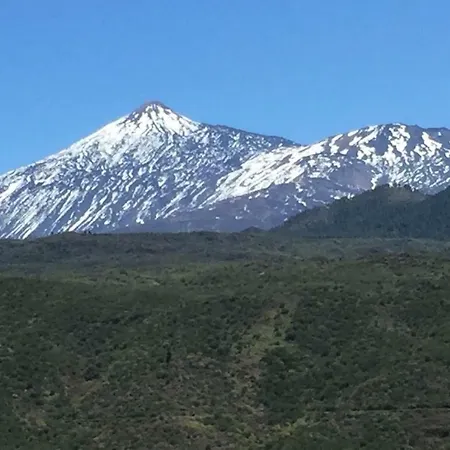 Appartamento Laika Los Cristianos  Esterno foto